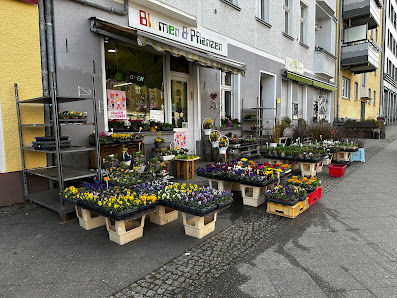 tinBlumen&Pflanzen