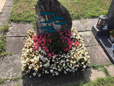 Göhners Blumenhof UG