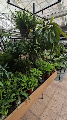 Dehner Garten-Center