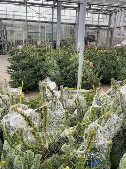 Flora Land