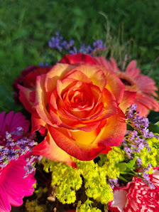 Blumen Blankenhorn