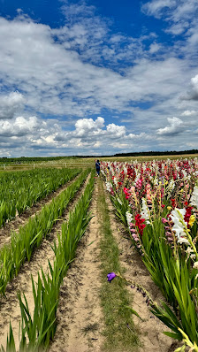 Blumen selber schneiden