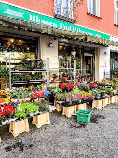 Blumen und Pflanzen