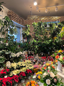 Blumen und Pflanzen