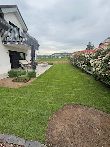 Daniel Grüber Gartenpflege / Baumpflege