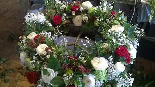 Blumen Moll