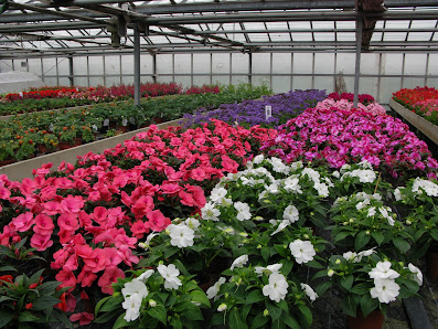 Blumen Winkler