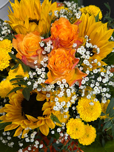 Blumen Widmayer