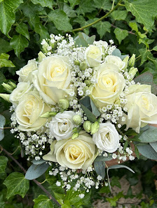 Blumen Widmayer
