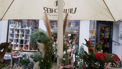 Blumen Schmid