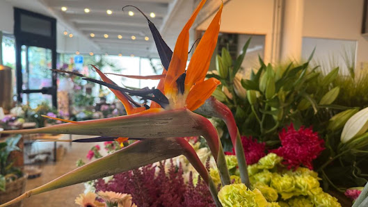 Blumen Schmid