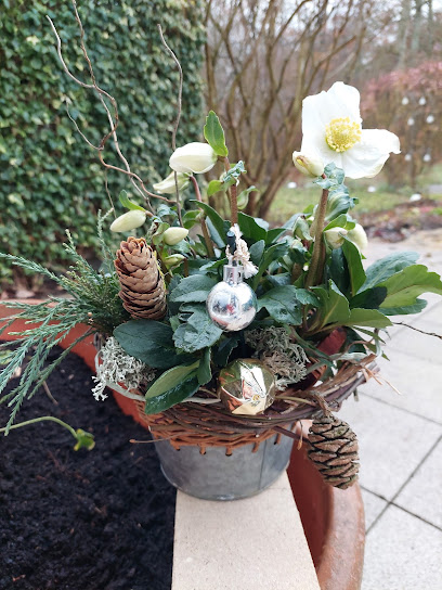 Die Pusteblume Am Waldfriedhof