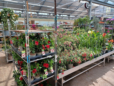 Dehner Garten-Center