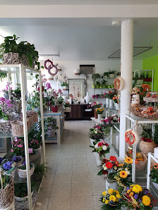 Blumen Bräutigam