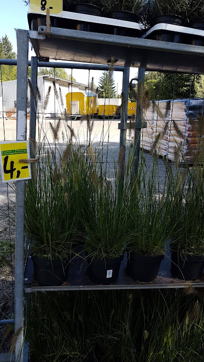 Blumen + Pflanzen Bauernmärktle ( Schnäppchenmarkt )