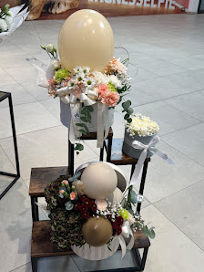 Blumen Razia Göppingen