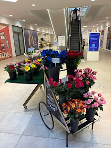 Blumen Razia Göppingen