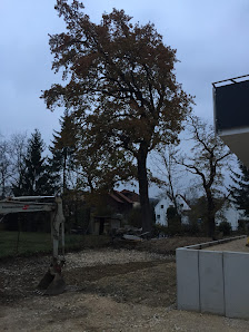 Ute Conato-Knöpfle Garten- und Landschaftsbau