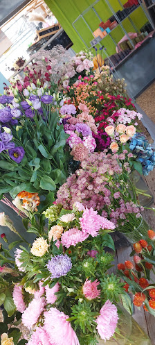 Ihr Gewächshausflorist Kaess