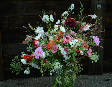 urwüchsig - Caroline Wolf Farmerfloristin für nachhaltigen Blumenanbau