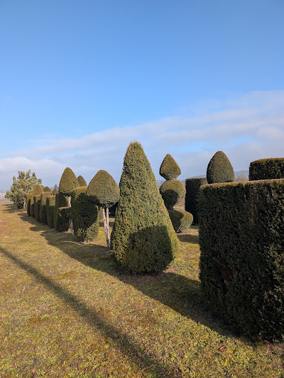 Jörg Schiller Garten- u Landschaftsbau