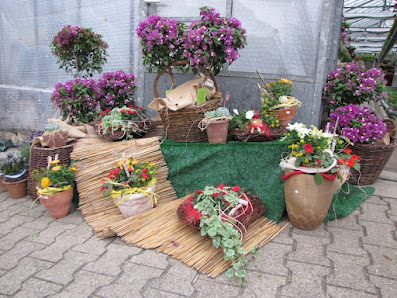 Blumen Haussmann