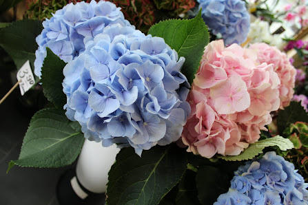 Blumenladen