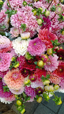 Florale Werkstatt Anne-Kathrin Faiss