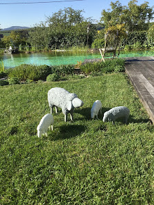 Garten Schweizer