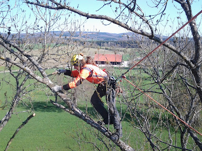 Bühler Baum und Garten GmbH