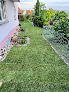 Sami Bekolli Garten und Landschaftsbau