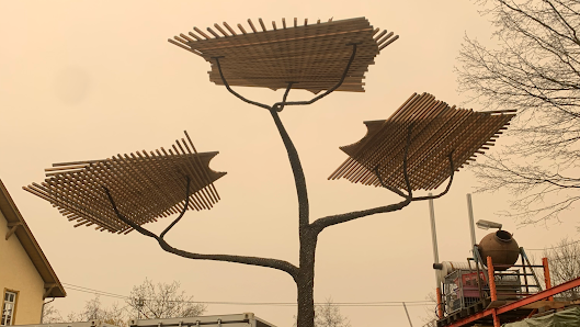 Factum Natura Gartenbau