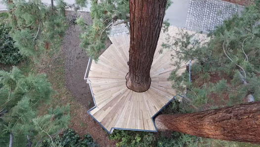 Factum Natura Gartenbau