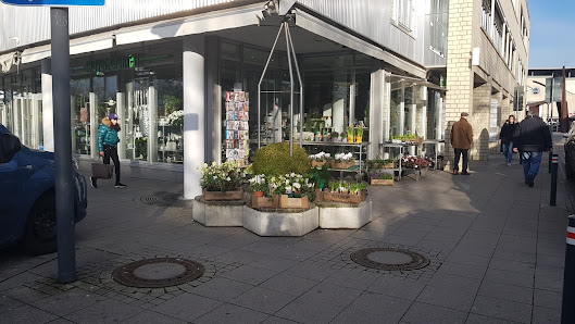 Mayer Blumen Inh. Birgit Aurenz e.K.