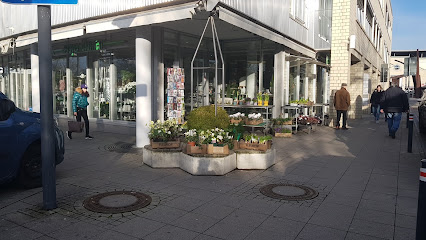 Mayer Blumen Inh. Birgit Aurenz e.K.
