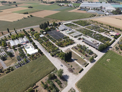 Förstner Pflanzen GmbH