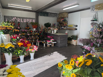 Sam Blumengarten ( Blumenladen )