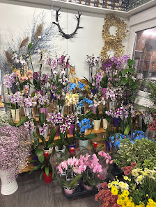 Sam Blumengarten ( Blumenladen )