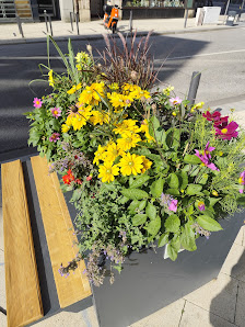 Blumen Dittmann