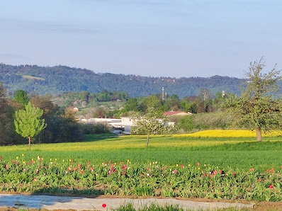 Blumen zum selberschneiden L1080