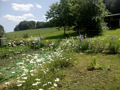 Gärtner Blumen