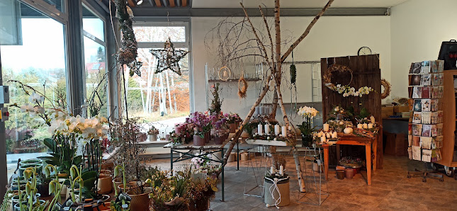 Blumen-Lutz Ehingen