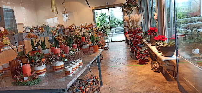Blumen-Lutz Ehingen