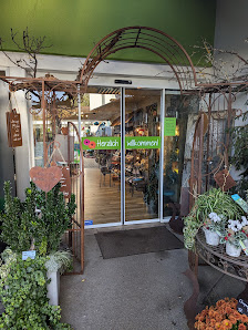 Blumen Center Rieger
