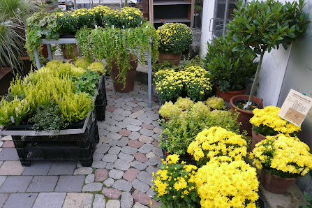 Blumen Heilig
