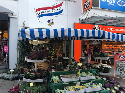 Matthias Kluge Holland Blumen