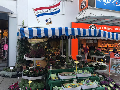Matthias Kluge Holland Blumen