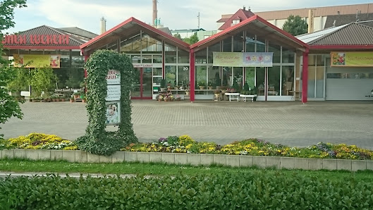 Blumen Luckert