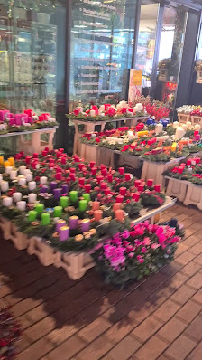 Blumen Jaeck