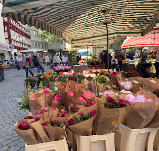 Gärtnerei Raible Karl-Josef